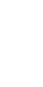 NOSELFIE - PTICA BIJELA